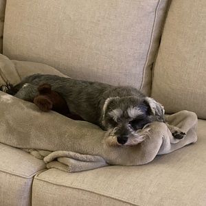 Meet your Posher, Nathan